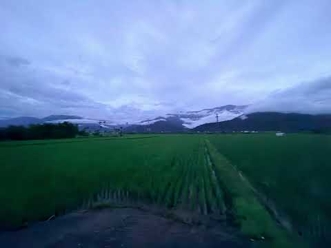池上鄉-慶豐段農地出售 第1張共16張