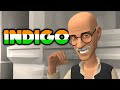 Indigo Class 12 animation in English