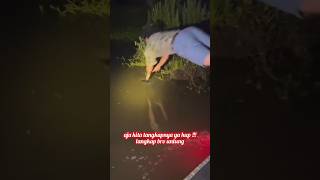 Download lagu Crocodile Attack!!! Catching with Bare Hands!!! Don't Try It!!! mp3