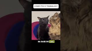 Como foi hoje la no trabalho? #humor #comedia #memes