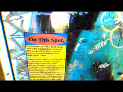 File 338c - Doll Faced David