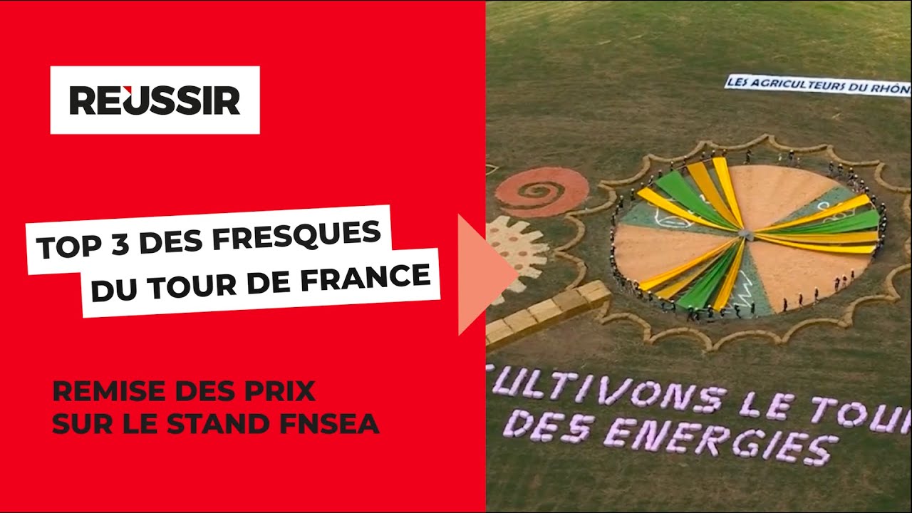 TOP 3 des fresques réalisées par les agriculteurs sur le Tour de France