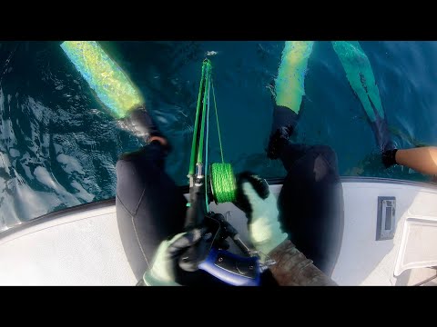 Spearfishing Red Snapper Freediving Louisiana!