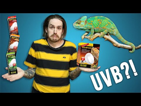 What UVB Bulb Should I Use?! REPTILE BASICS