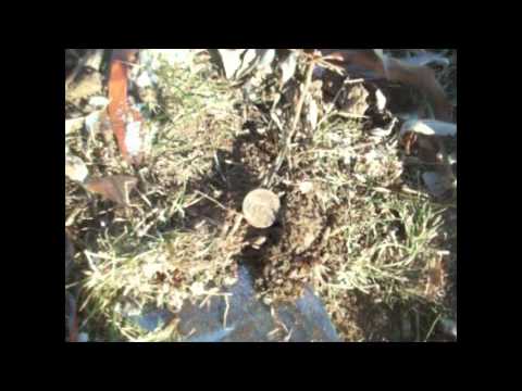 Прогулка 18 02 2012