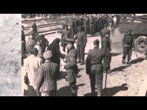 Surviving the Holocaust - Clip