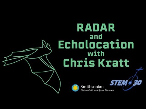 Echolocation and Radar with Chris Kratt of the Wild Kratts