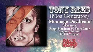 David Bowie | Moonage Daydream | Tony Reed | Tribute | Ziggy Stardust