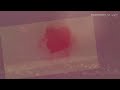 Grateful Dead - Englishtown 9/3/77 - Full Show - Dead Air Visual Experience