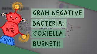 Gram Negative Bacteria: Coxiella burnetii