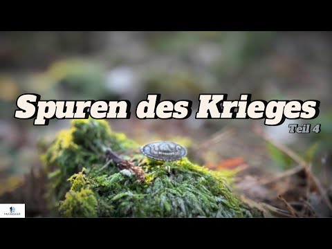 Spuren des Krieges – Silberfunde im WW2-Wald | WW2 in Mandal (Teil 4)