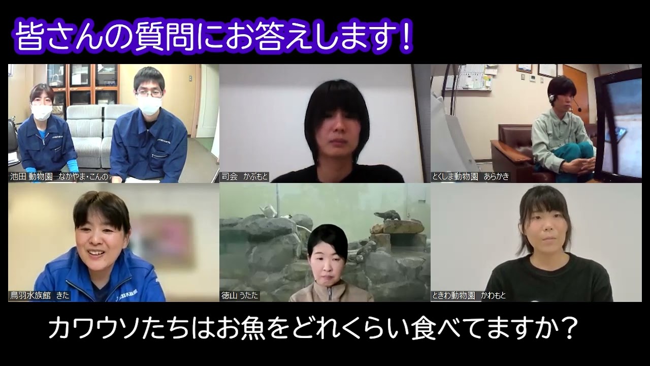 コツメカワウソ飼育5園館特別座談会#6　コツメカワウソ【質問にお答えします・前編】