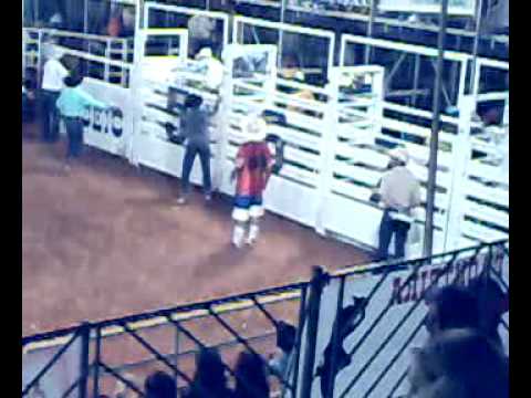 RODEIO - 2009 - Rinópolis-SP