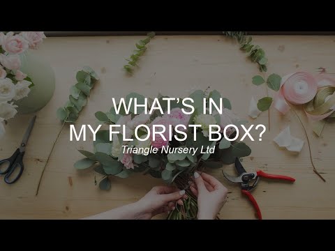 Whats in my florist box? Essential tools you will need