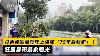 [問卦] 只是颱風而已