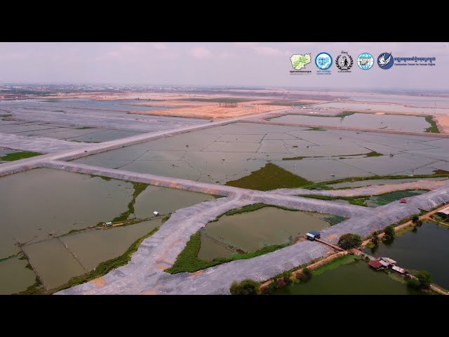 ដំណើរជីវិតនៃបឹងតាមោក