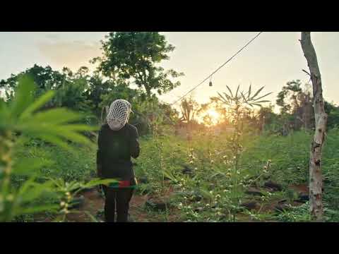 Star Lyan - Real Gongargon (Official Music Video)