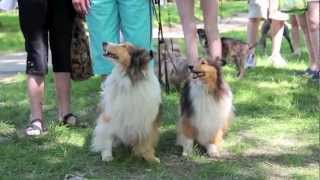 Pets in the Park - Saskatoon, Saskatchewan