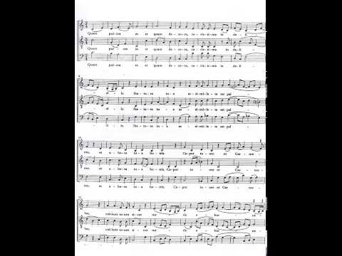 John Dunstable Motet Quam Pulchra Es Partitura Interpretación