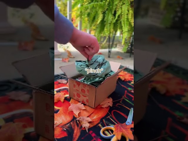 Vídeo relacionado con Set de 50 Pegatinas Strang-Thin para Niños, Stickers Anime y Películas de Vinilo Impermeable para Botella, Portátil, Móvil, Diario, Skateboard, Guitarra y Bicicleta
