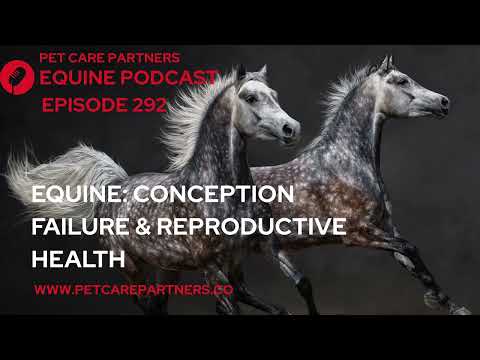 EP 292:Conception Failure in Horses | Equine Reproductive Health Explained | Pet Care Partners