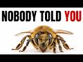 Bees Are Watching You in Silence Right Now (And Nobody Ever Told You This)