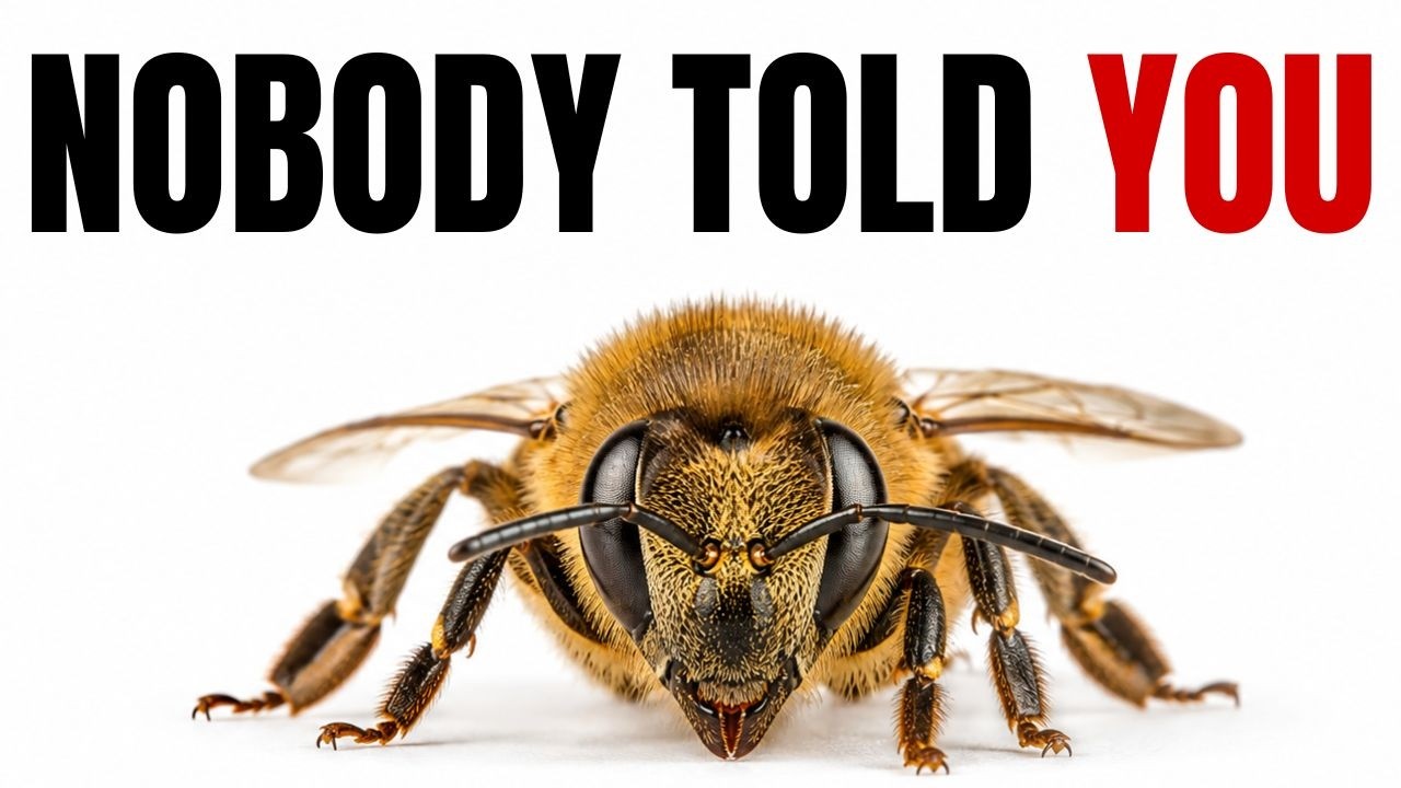 Bees Are Watching You in Silence Right Now (And Nobody Ever Told You This)