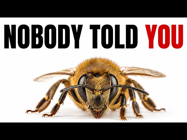 Bees Are Watching You in Silence Right Now (And Nobody Ever Told You This)