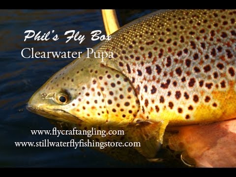 The Clear Water Pupa