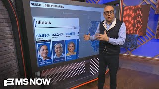 "People are looking for fighters as opposed to folders": Millions of voters participate in Illinois
