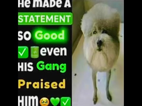 Wind Temple Skydive - cover