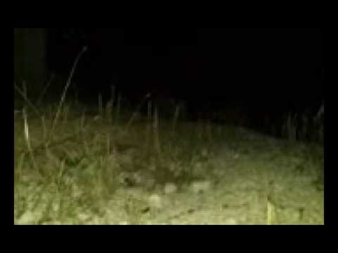 استهداف مقرات النظام في القرى الموالية بصواريخ محلية الصنع من قبل اللواء 313 في ريف حماة