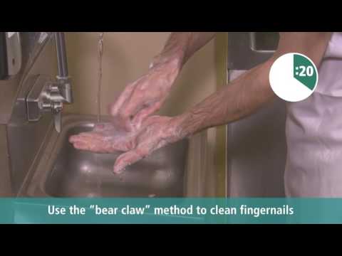 The Importance of a Hand Hygiene Regimen in Foodservice