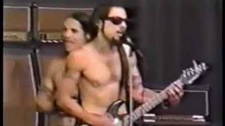 Red Hot Chili Peppers - The Tibetan Freedom Concert 1996