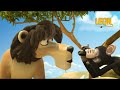 Safari Photo Leon The Lion 155 Compilation Crazy Animals
