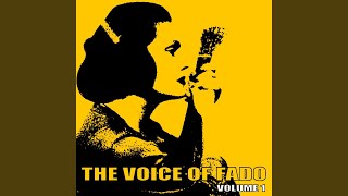 Quando Os Outros Te Batem, Beijo-Te Eu