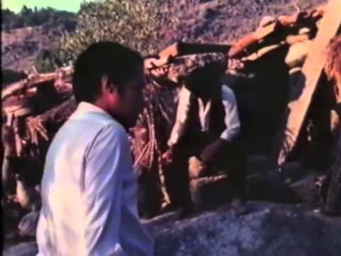 Retalhos da Vida de Um Médico