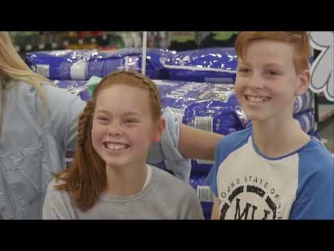 Tratamento de animais de estimação