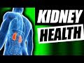 Kidney Health Tips | Improve kidney function