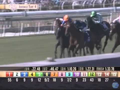 2012 Breeders' Cup Juvenile Turf