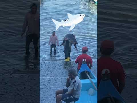 🏝️🎣 Puerto Pesquero “Santa Rosa” 🚤 Salinas 🌊 Provincia de Santa Elena ☀️🦈 #parati #fpy  #pesca