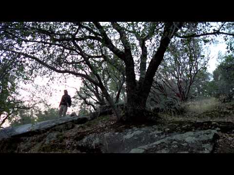 Create or Else: Chongo