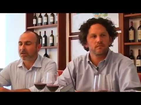 JAMESSUCKLING.COM - Bolgheri - Masseto - The Wine
