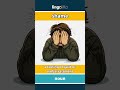 shame (noun) - definition and usage in English