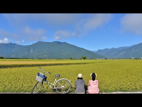 讓心靈自由呼吸的房子-田園風情短租 整層住家 關西鎮-上橫坑 591租屋 月租23,800元/月