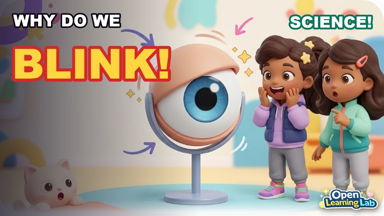 Why Do We Blink? | Science for Kids