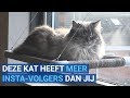 Kat June is wereldberoemd en heeft 120K volgers op Instagram