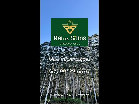 Terreno a Venda para Chácara em Presidente Getúlio-SC (Informações e valor na descrição do vídeo)