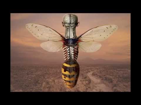 download lagu mp3 mp4 Shake It To The Left Shake It To The Right, download lagu Shake It To The Left Shake It To The Right gratis, unduh video klip Shake It To The Left Shake It To The Right