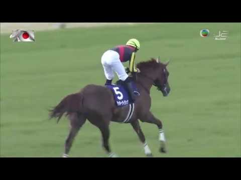 2020 大阪盃 旺紫丁 Lucky Lilac ラッキーライラック 杜滿萊